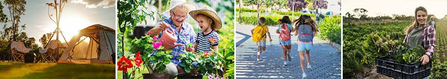 Mosquito Repellent Spray application